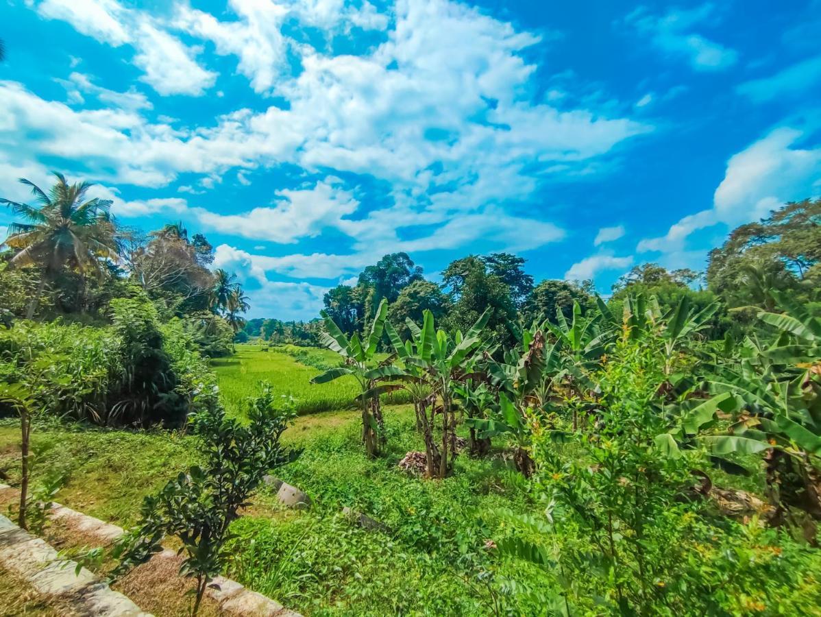 Peacock Village Pinnawala Pinnawala  Exterior foto