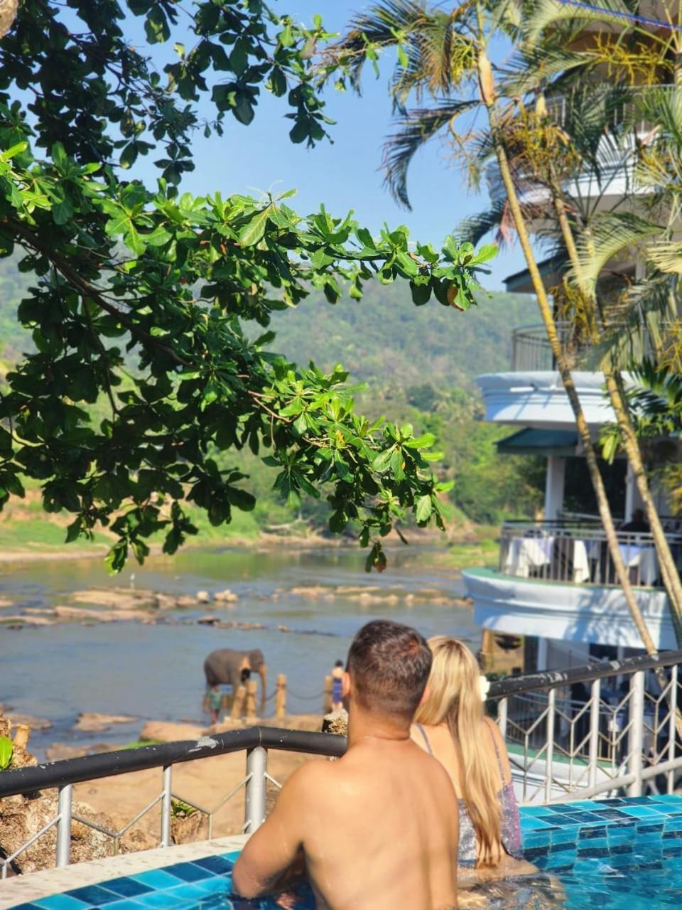 Peacock Village Pinnawala - Offer Alert! Elephant Welfare Program Exterior foto